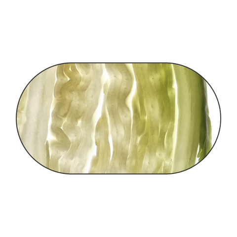 Kool