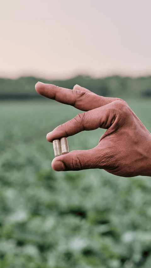 We beschermen het goede van planten in onze plantaardige capsules 